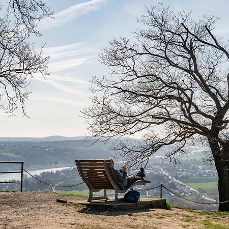 Studio-Loft Siebengebirge Westerwald Erpel Екстер'єр фото