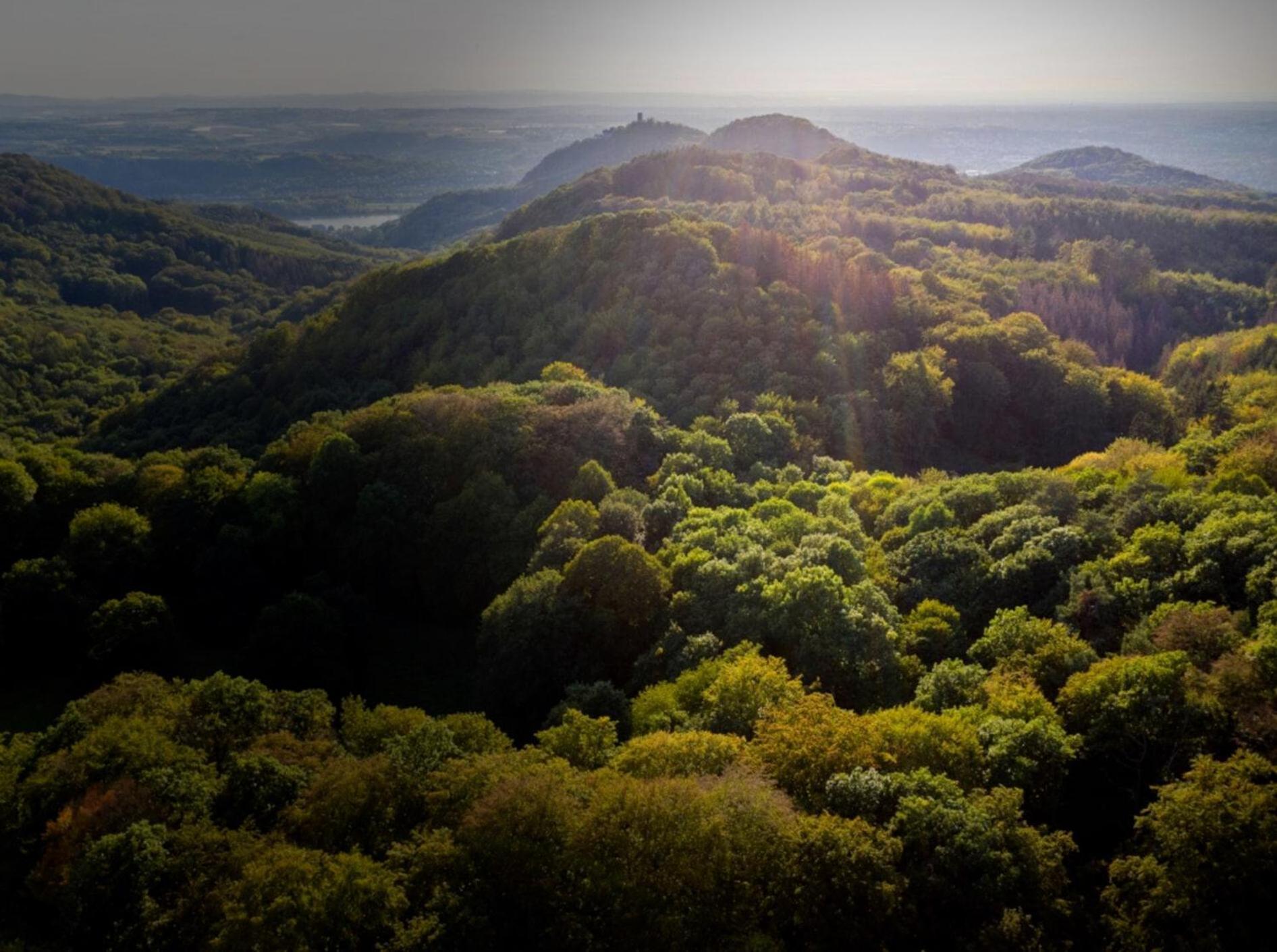 Studio-Loft Siebengebirge Westerwald Erpel Екстер'єр фото